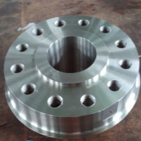 Forging Flange-Forged Flange-07